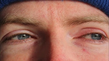 Focused Redux- Max Perkins