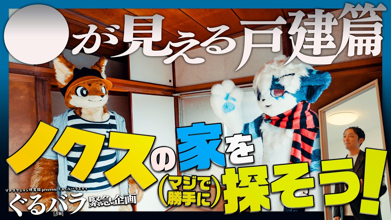 ノクスのマジ家探し　●●が見える家篇　　#ぐるバラ　#着ぐるみ