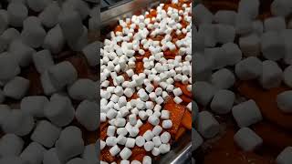 Kylie Jenner films sister Kendall cutting an onion on Thanksgiving