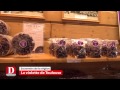 Souvenirs  les violettes de toulouse