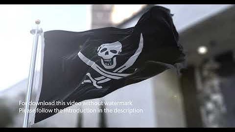 Pirate Flag 2 flag with 3d effect blowing in the wind 3D Flag V2 long