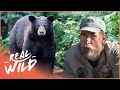 Bears And Humans Can Co-Exist Thanks To This Man | The Bear Whisperer | Real Wild