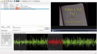Subtitle Edit tutorial 5  More on timing Wealth