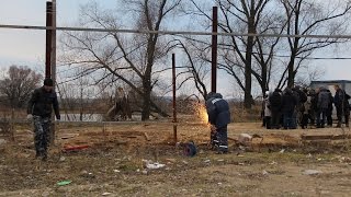 видео Экологическую сказку «Хранимиры. Мы не поросята» опубликовали в интернете