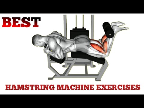 Best Hamstring Machine Exercises for Massive Strength & Muscle Growth ...