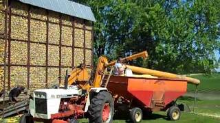 Corn shelling 2011