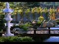 Jardin Zen - Un jardin zen a tu medida