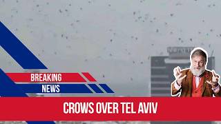 The Crows In Tel Aviv