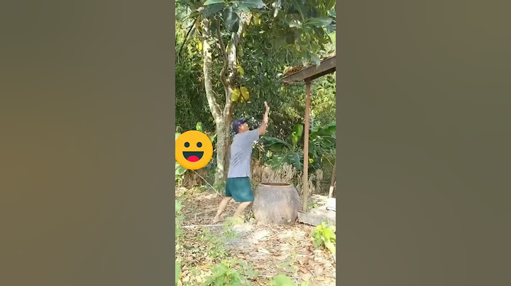 Chơi n.g.u nè | Tổng hợp video tiktok triệu view (p32) #shorts #funny