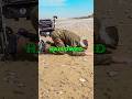 Was Losing Over Half His Men Worth It? #usa #military #shorts