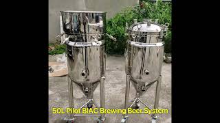 50L Pilot BIAC Brewing Beer System/A Complete one brewing Equipment