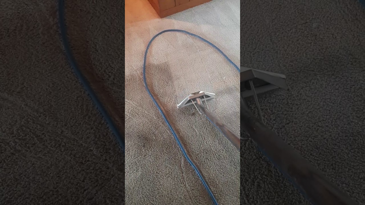 Cleaning Carpets in Raleigh, NC ITsSTRAIGHT CLEANING YouTube Cleaning Carpets in Raleigh, NC ITsSTRAIGHT CLEANING YouTube