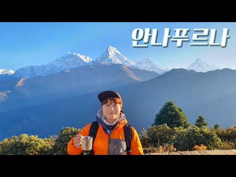 네팔 포카라 초록초록한 라이브 방송 시작합니다 [침낭, 드레스 드림]