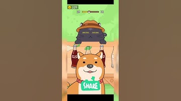 Hide And Seek Cat Escape Gameplay Level 20 Shorts Cat Escape Solution And Answer