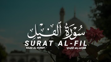 سورة الفيل كاملة القارىء رعد الكردي SURAT AL-FIL FULL RAAD AL-KURDY