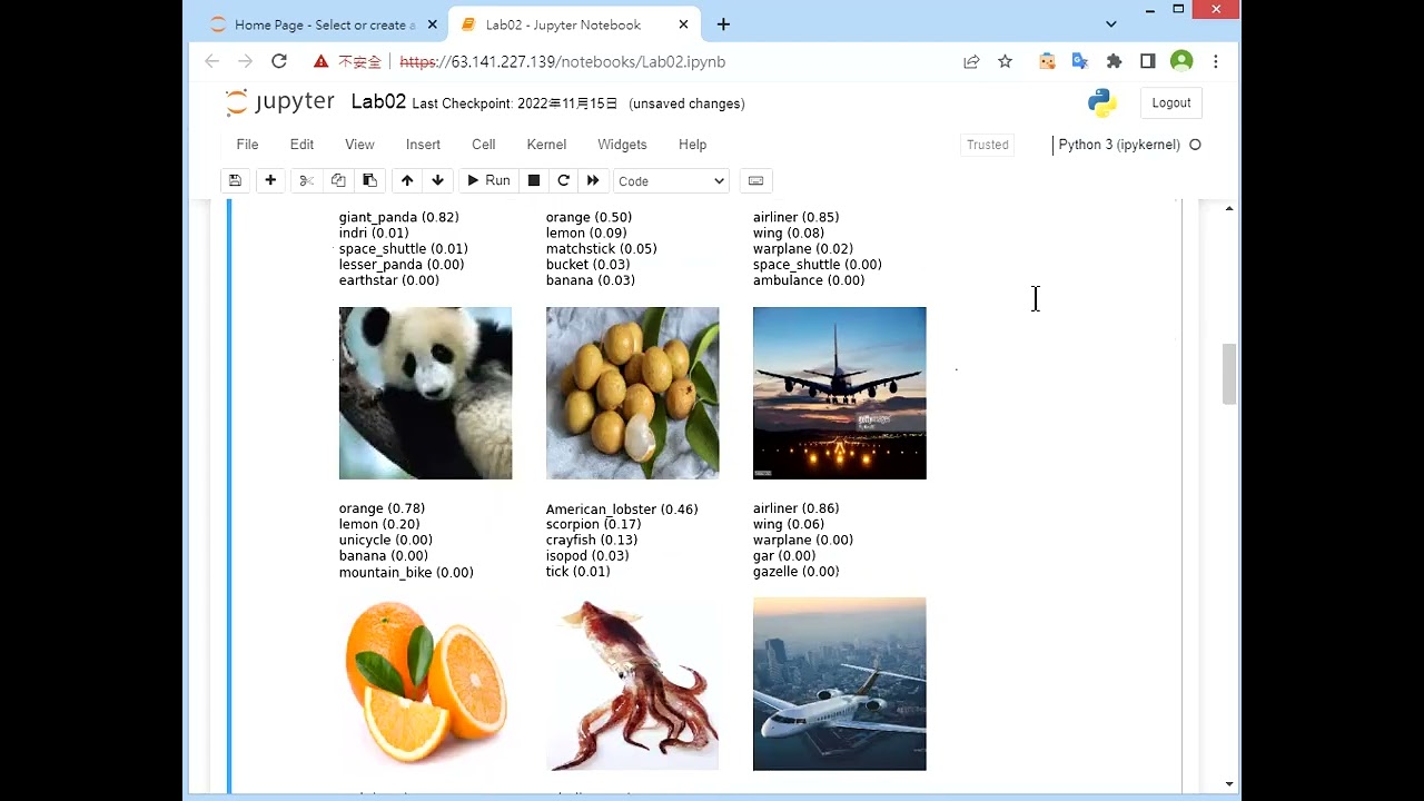 Image Classification Using Pre Trained Models (InceptionV3 and VGG16)