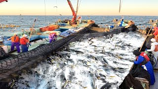 Unbelievable Big Net, Net Fishing in the Sea - Trip Trawler Caught Hundreds Tons of Fish On the Sea