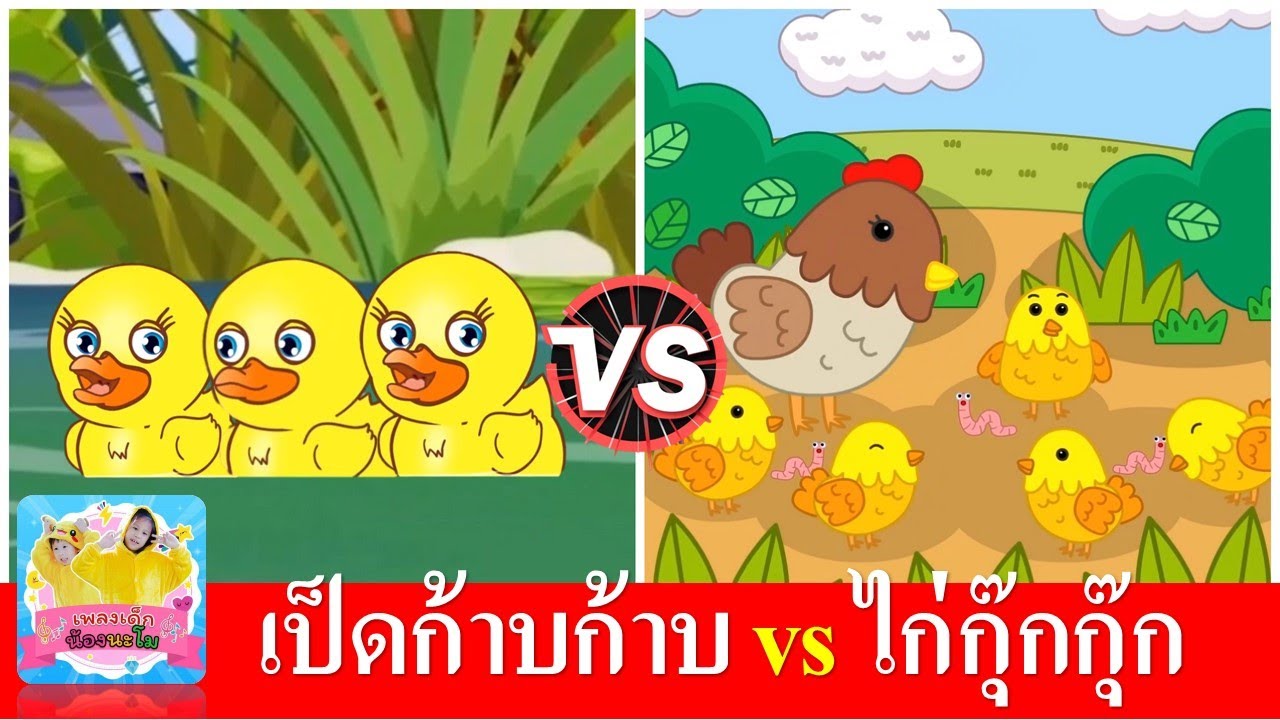 เป็ดก้าบก้าบ vs ไก่กุ๊กกุ๊ก