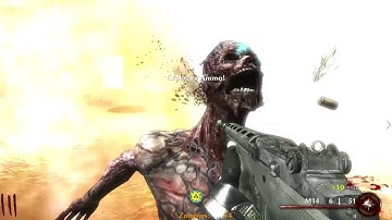 Custom World At War Zombies: The Cobos