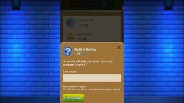 Riddle Of The Day Zoo 31 1 January | Zoo Riddle Of The Day Code Today |Riddle Of The Day Zoo Today