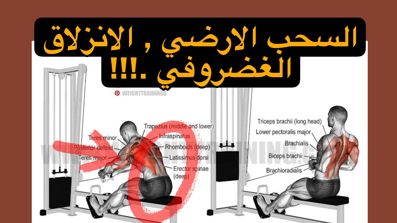 Seated Row YouTube seated-row-youtube