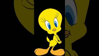Tweety Bird Picture