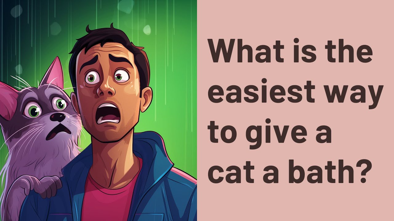 what-is-the-easiest-way-to-give-a-cat-a-bath-youtube
