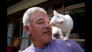 After The Fukushima Daiichi Nuclear Disaster In Japan This Man Went Back To Save The Animals