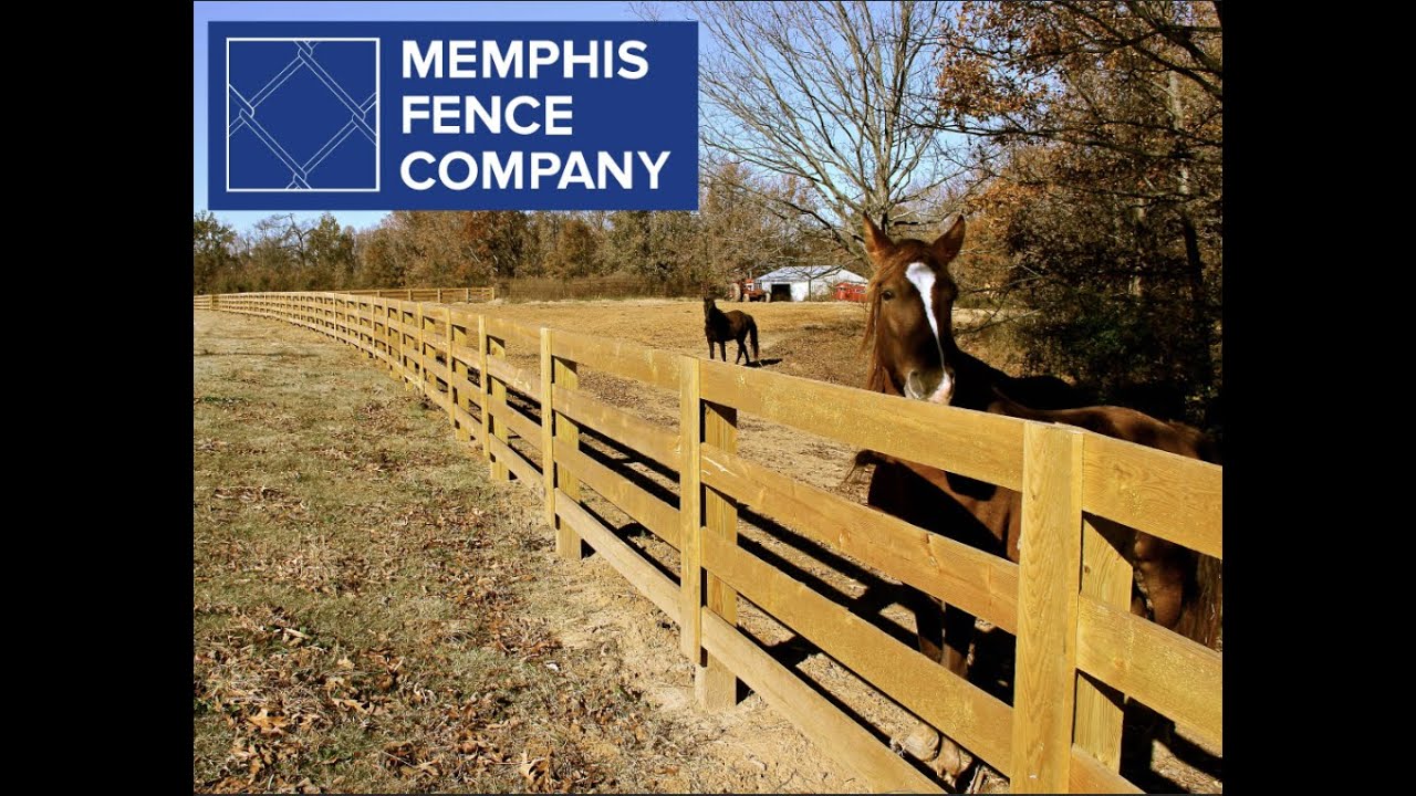 What is treated pine good for? YouTube