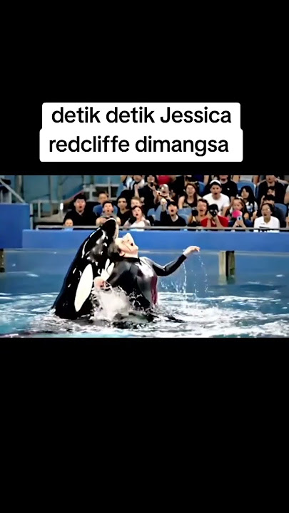 Detik-detik Jessica Redcliffe dimakan Paus Orca #pausorca #jessicaorca
