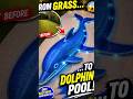 “This Dolphin Pool Transformation is So Satisfying 🐬✨ #viral #viralshorts”