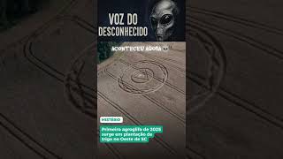O Primeiro Agroglifo do Brasil: A Filmagem Aérea Que Ninguém Consegue Explicar 😱🌾