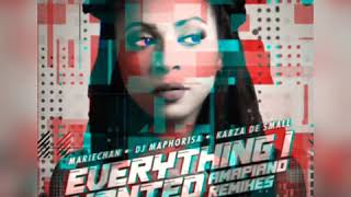 Everything I wanted - amapiano remix