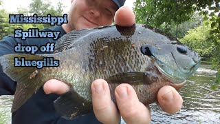 backwaters of the Mississippi River Spillway fishing drop offs for bluegills