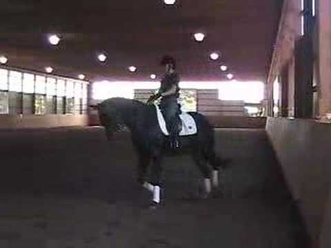 A.4 STEFFEN PETERS AND JANET BROWN-FOY (TRAINING &...