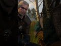 The Witcher 3 Wild Hunt.