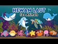 Macam-Macam Hewan Laut | Belajar Bahasa Inggris | Sea Animals- Kids Learning