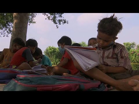 شاهد دروس مجانية في الهواء الطلق للأطفال الفقراء في الهند 