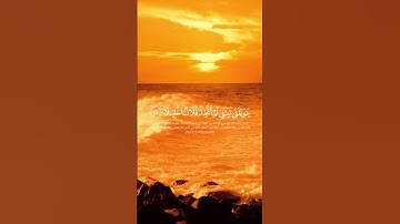 قران كريم سورة الفرقان 27-28 ويوم يعض الظالم على يديه