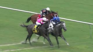 Gulfstream Park Replay Show | June 29, 2018