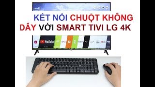 Hướng dẫn kết nối chuột không dây với Tivi Smart LG 4K 55UK6100 quá đơn giản