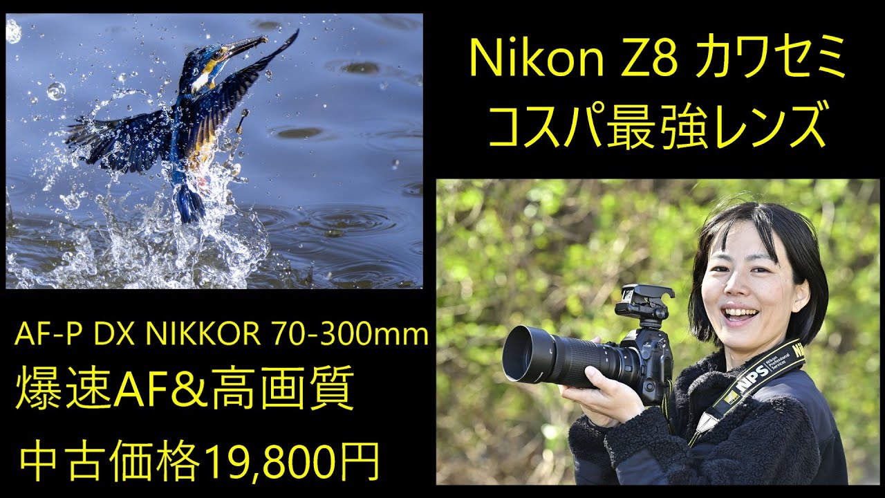 ✨綺麗に撮れる✨Nikon AF-P NIKKOR 70-300mm　987-2 Nikon AF-P DX NIKKOR 70-300mm f/4.5-6.3G ED VR Images