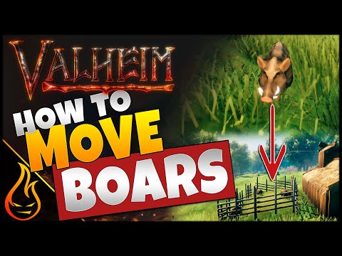 How To Easily Move Boars Valheim Guide