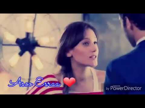 عمرك سمعت بطير يحب سجان انا ترني طيرك الي يحبك موت