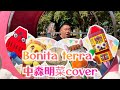 Bonita terra/中森明菜cover
