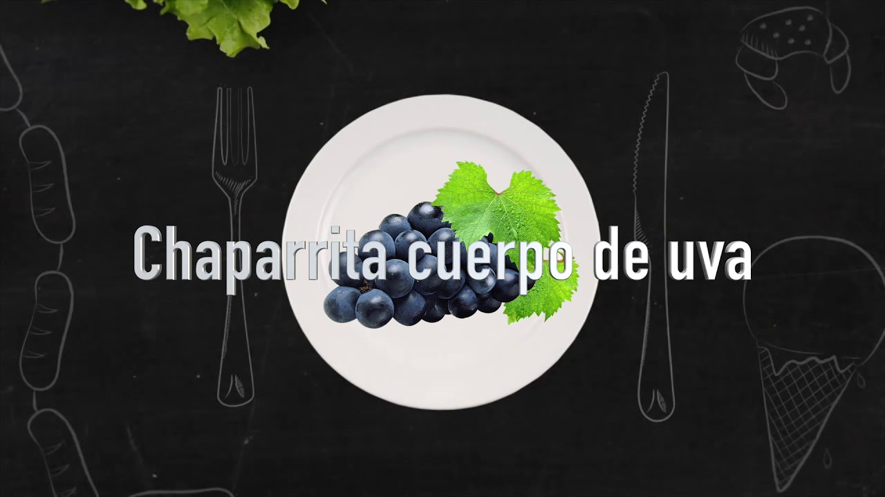 CHAPARRITA CUERPO DE UVA - YouTube