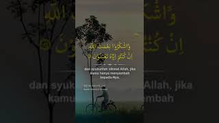 Qur'an Surat An Nahl ayat 114 | Syekh Ahmed Al Shalabi | Story WA Reels 30 detik