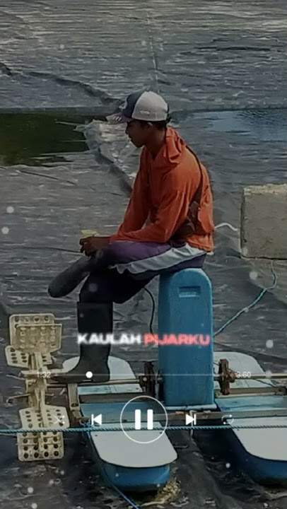 story wa lirik dalam sepiku