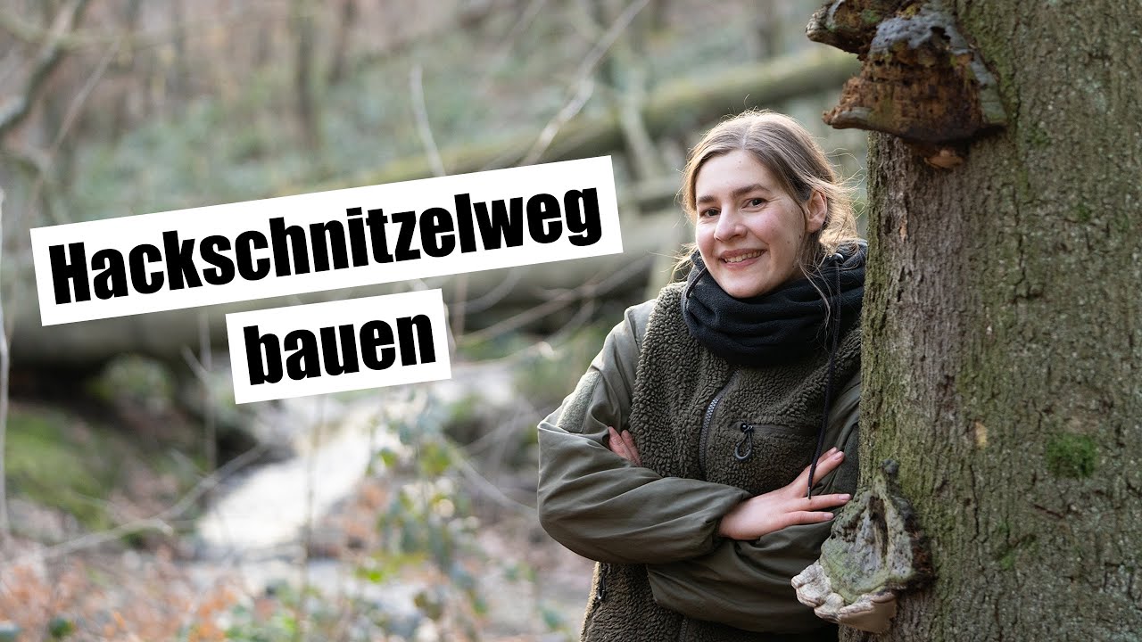 Wir bauen einen KÄFERWEG 👉 so lockst du Nashornkäfer & Co in deinen Garten