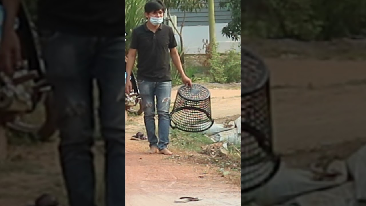 Huge Plastic Basket Box Prank Vs Sleep Dogs - Funny Videos